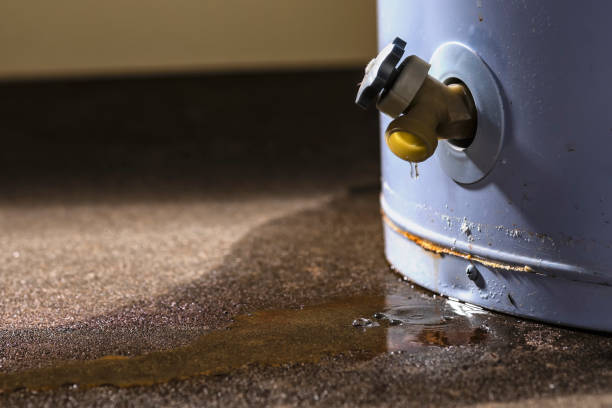 Best Professional water damage repair  in Pelican Bay, FL