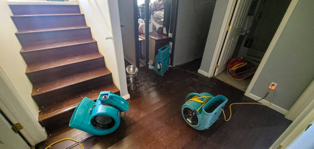 Best Professional water damage repair  in Pelican Bay, FL