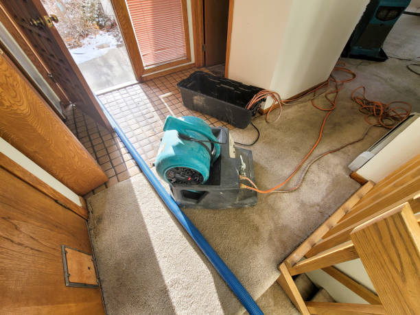 , FL Water damage restoration Company