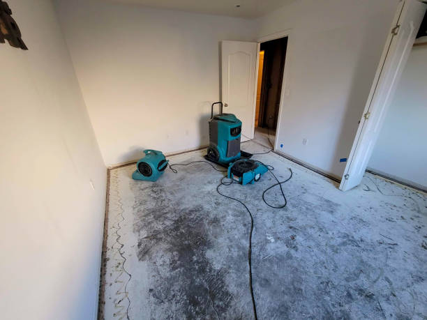 Best Fire Damage Restoration  in Pelican Bay, FL