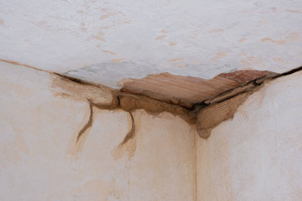 Best Professional water damage repair  in Pelican Bay, FL