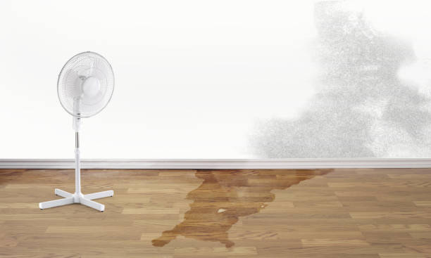 Best Water damage restoration process  in Pelican Bay, FL