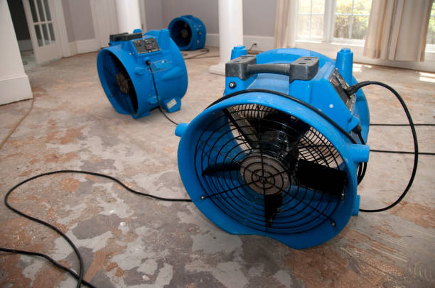 Best Residential water damage restoration  in Pelican Bay, FL