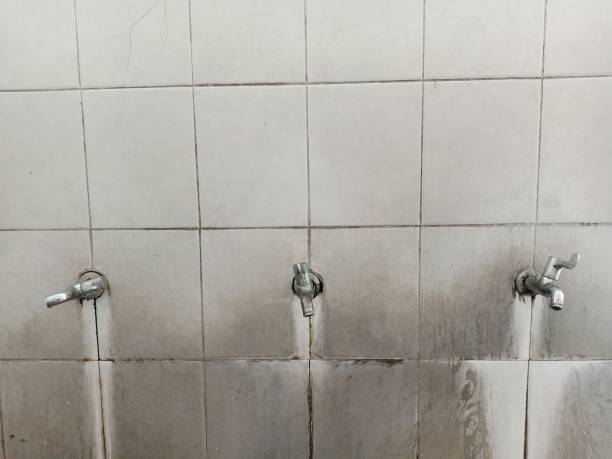 Best Water damage restoration near me  in Pelican Bay, FL
