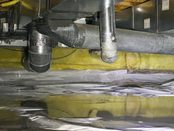 Best Sewage cleanup and water damage restoration  in Pelican Bay, FL